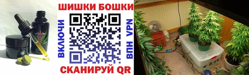 Canna-Cookies конопля  Купить где  Зеленогорск 