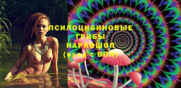 МДПВ Лагань