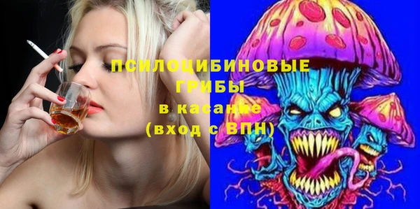 МДПВ Лагань