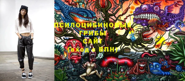 скорость Новосибирск