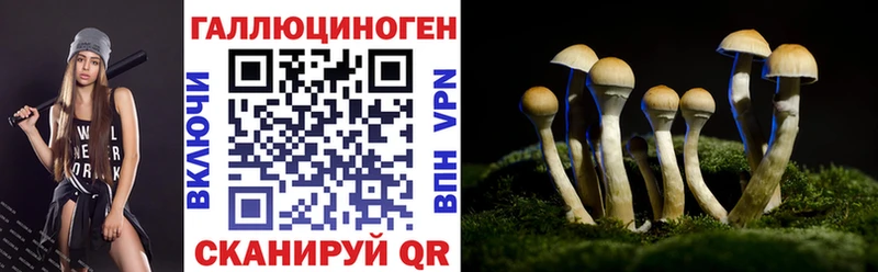 Галлюциногенные грибы MAGIC MUSHROOMS  Купить где  Зеленогорск 